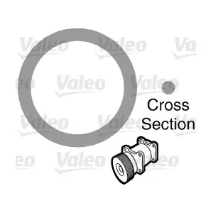 509154 VALEO