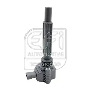 155564 EFI AUTOMOTIVE
