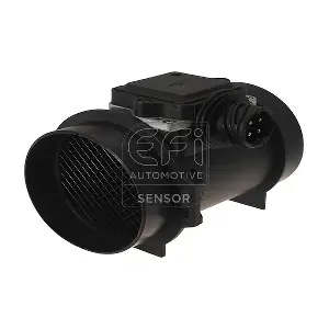 305005 EFI AUTOMOTIVE