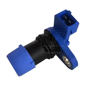 303123 EFI AUTOMOTIVE