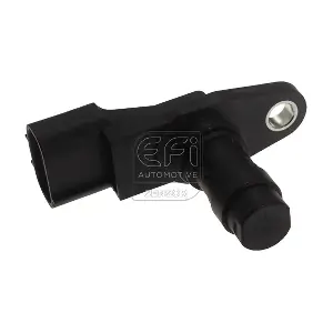 303509 EFI AUTOMOTIVE