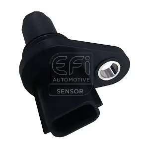 303427 EFI AUTOMOTIVE