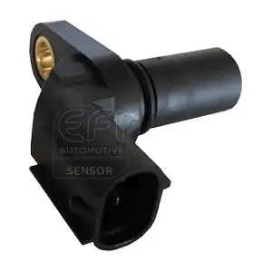 EFI AUTOMOTIVE 303239
