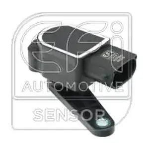 307055 EFI AUTOMOTIVE