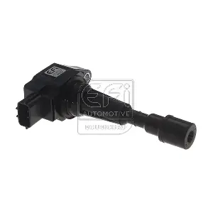 EFI AUTOMOTIVE 155194