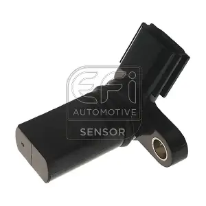 EFI AUTOMOTIVE 303325