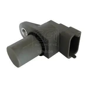 303321 EFI AUTOMOTIVE