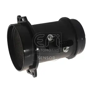 305113 EFI AUTOMOTIVE