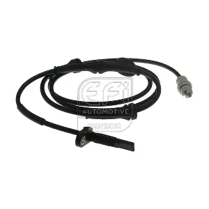 302294 EFI AUTOMOTIVE