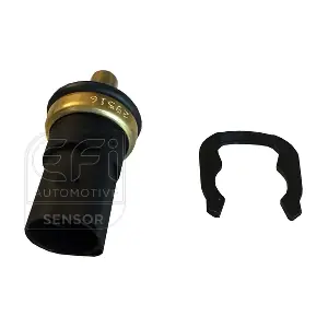 295163 EFI AUTOMOTIVE