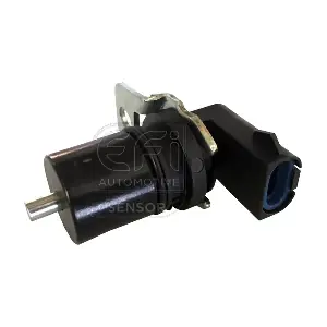 EFI AUTOMOTIVE 303173