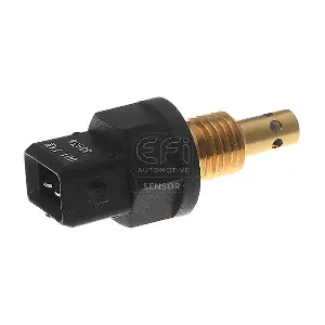 295116 EFI AUTOMOTIVE