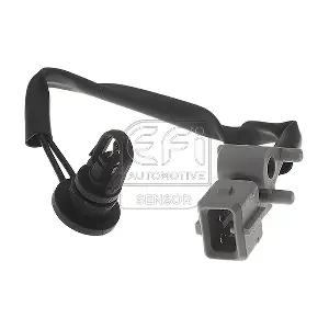 295036 EFI AUTOMOTIVE
