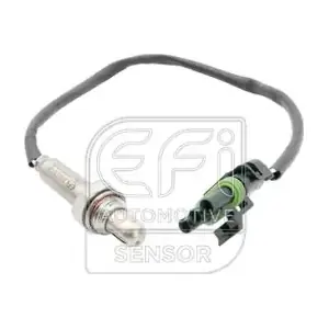 EFI AUTOMOTIVE 301318