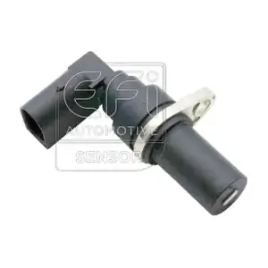 EFI AUTOMOTIVE 303556