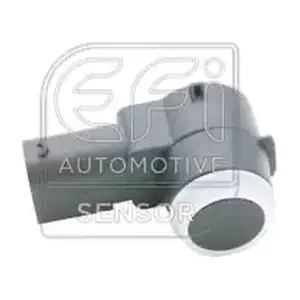 306079 EFI AUTOMOTIVE