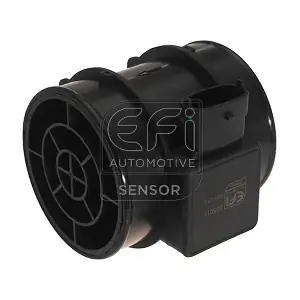 EFI AUTOMOTIVE 305011