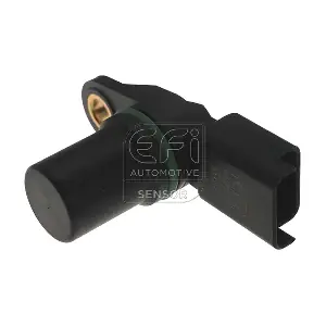 EFI AUTOMOTIVE 303263