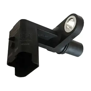 EFI AUTOMOTIVE 303036