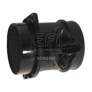 EFI AUTOMOTIVE 305055