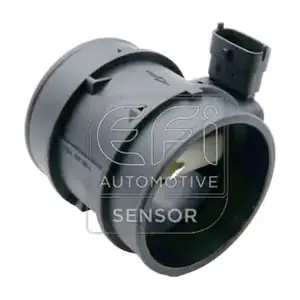 305205 EFI AUTOMOTIVE