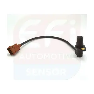 EFI AUTOMOTIVE 144313