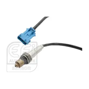 EFI AUTOMOTIVE 301441