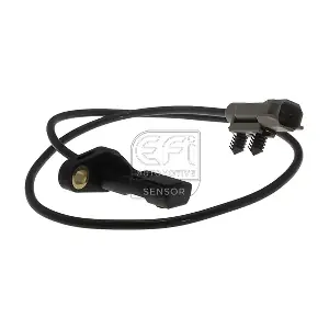 302461 EFI AUTOMOTIVE