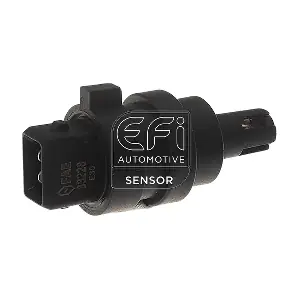 295046 EFI AUTOMOTIVE