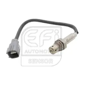 301641 EFI AUTOMOTIVE
