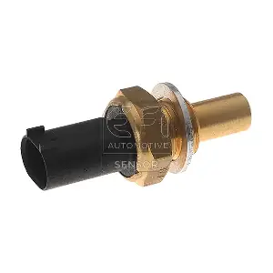 295004 EFI AUTOMOTIVE