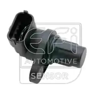 303525 EFI AUTOMOTIVE