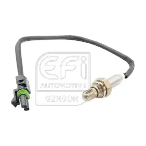 301305 EFI AUTOMOTIVE