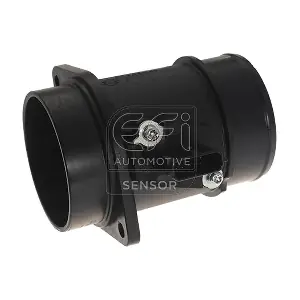 305114 EFI AUTOMOTIVE