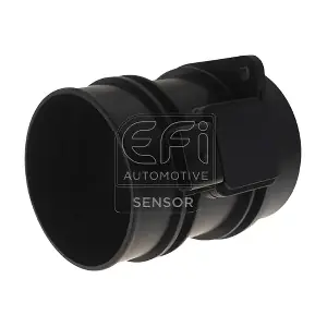 305089 EFI AUTOMOTIVE