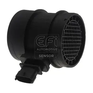 EFI AUTOMOTIVE 305193