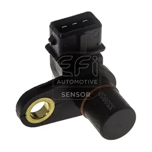 303493 EFI AUTOMOTIVE