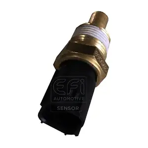 295068 EFI AUTOMOTIVE
