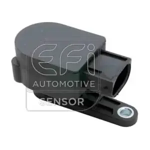 307054 EFI AUTOMOTIVE