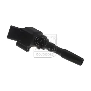 EFI AUTOMOTIVE 155207