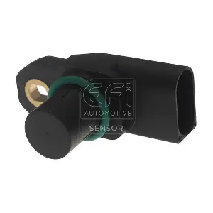 303494 EFI AUTOMOTIVE