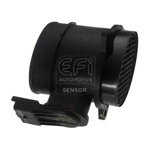 305197 EFI AUTOMOTIVE
