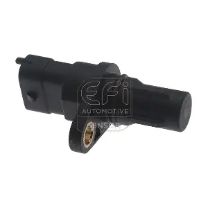 303479 EFI AUTOMOTIVE