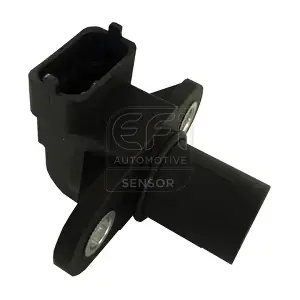 303275 EFI AUTOMOTIVE