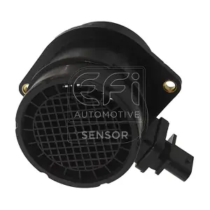 EFI AUTOMOTIVE 305121