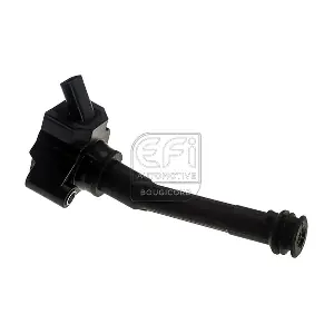 155562 EFI AUTOMOTIVE
