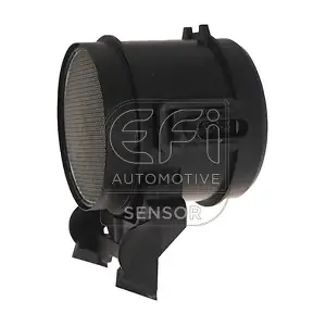 EFI AUTOMOTIVE 305112