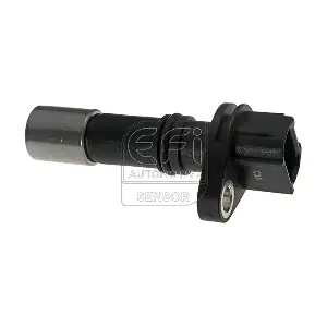 303209 EFI AUTOMOTIVE