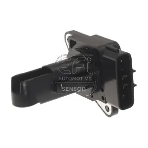 EFI AUTOMOTIVE 305106