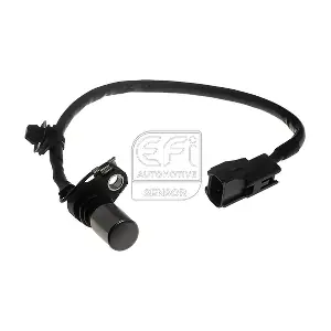 303514 EFI AUTOMOTIVE